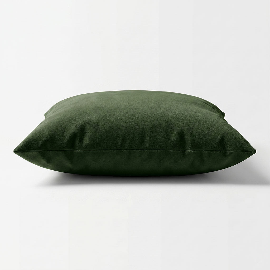 Dublin Velvet Throw Pillow