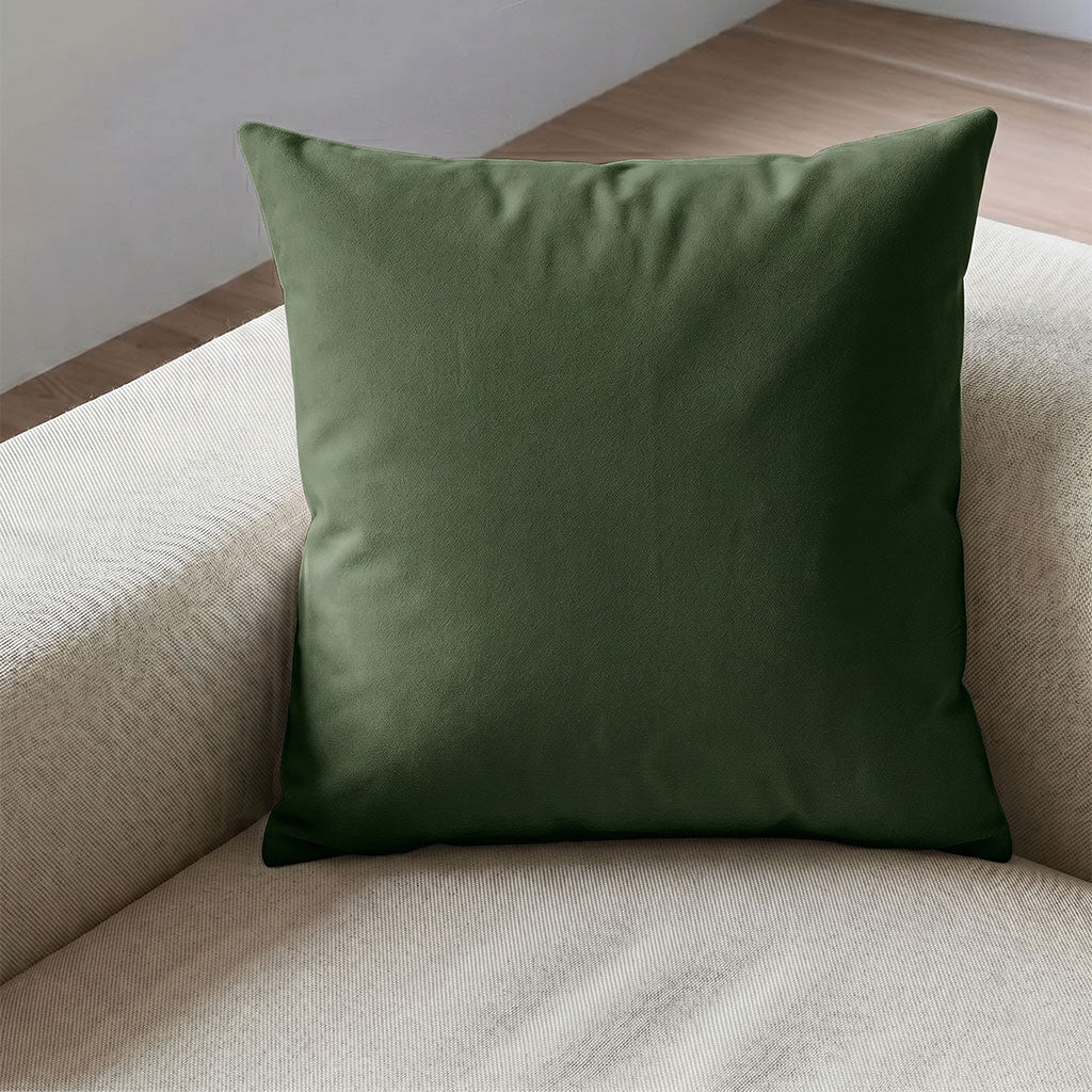 Dublin Velvet Throw Pillow