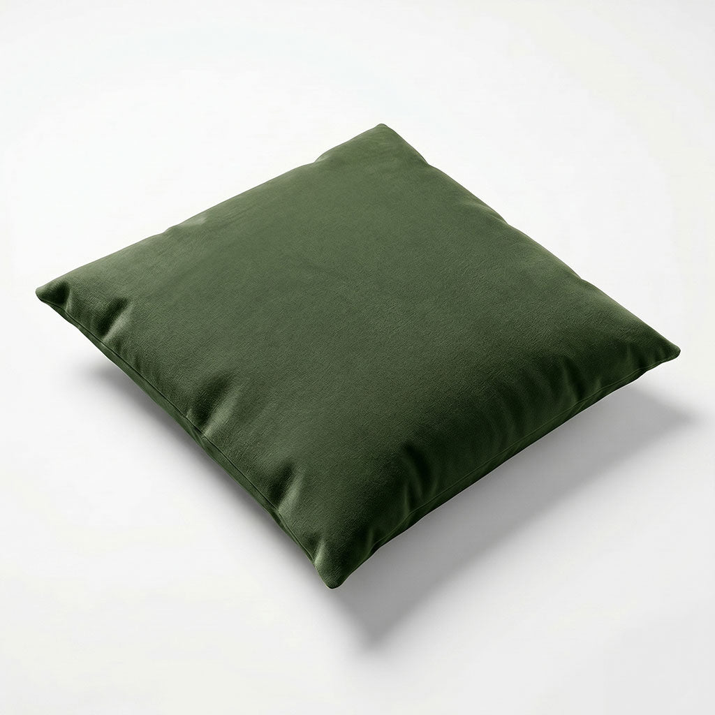 Dublin Velvet Throw Pillow