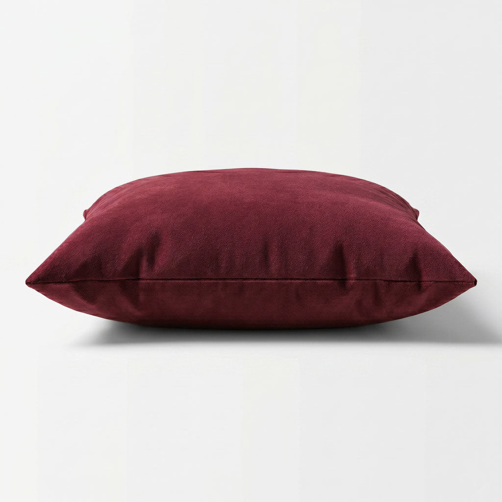 Escarlata Velvet Throw Pillow