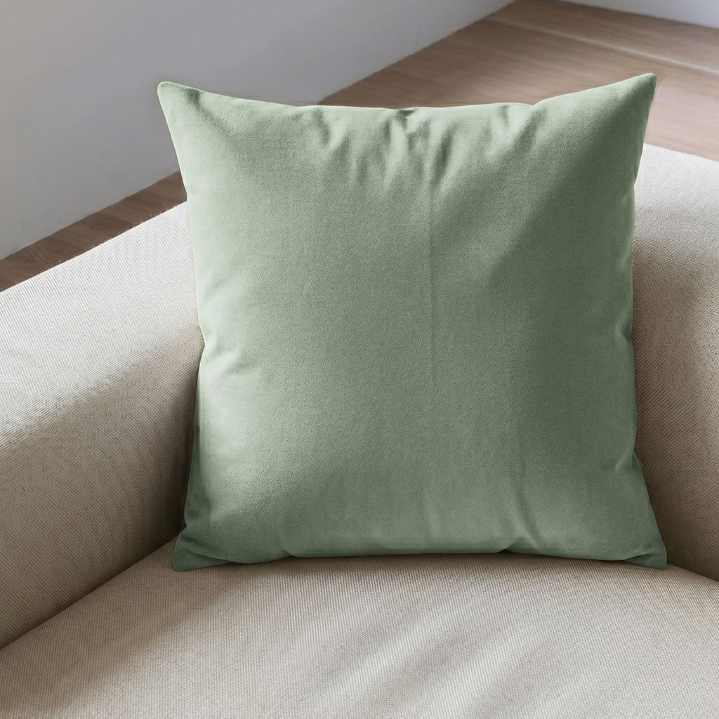 Velvet Throw Pillow in Eucalyptus