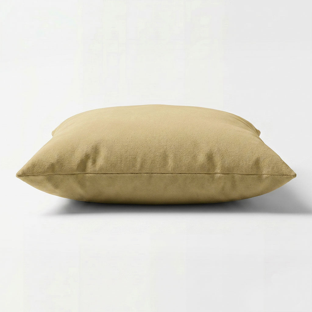 Gobi Velvet Throw Pillow
