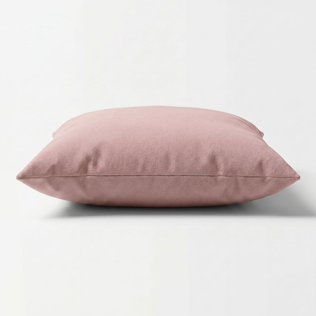 Rosewater Velvet Throw Pillow