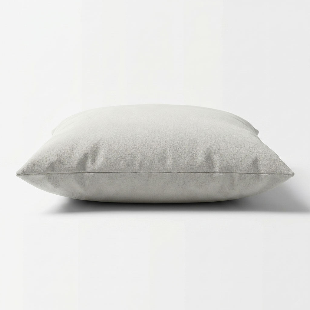 Snow Velvet Throw Pillow