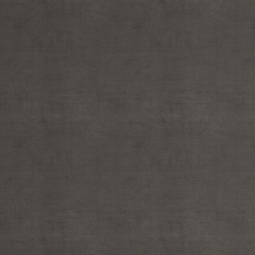 Anchovy Velvet Bedskirt