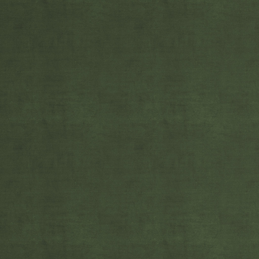 Dublin Velvet Fabric