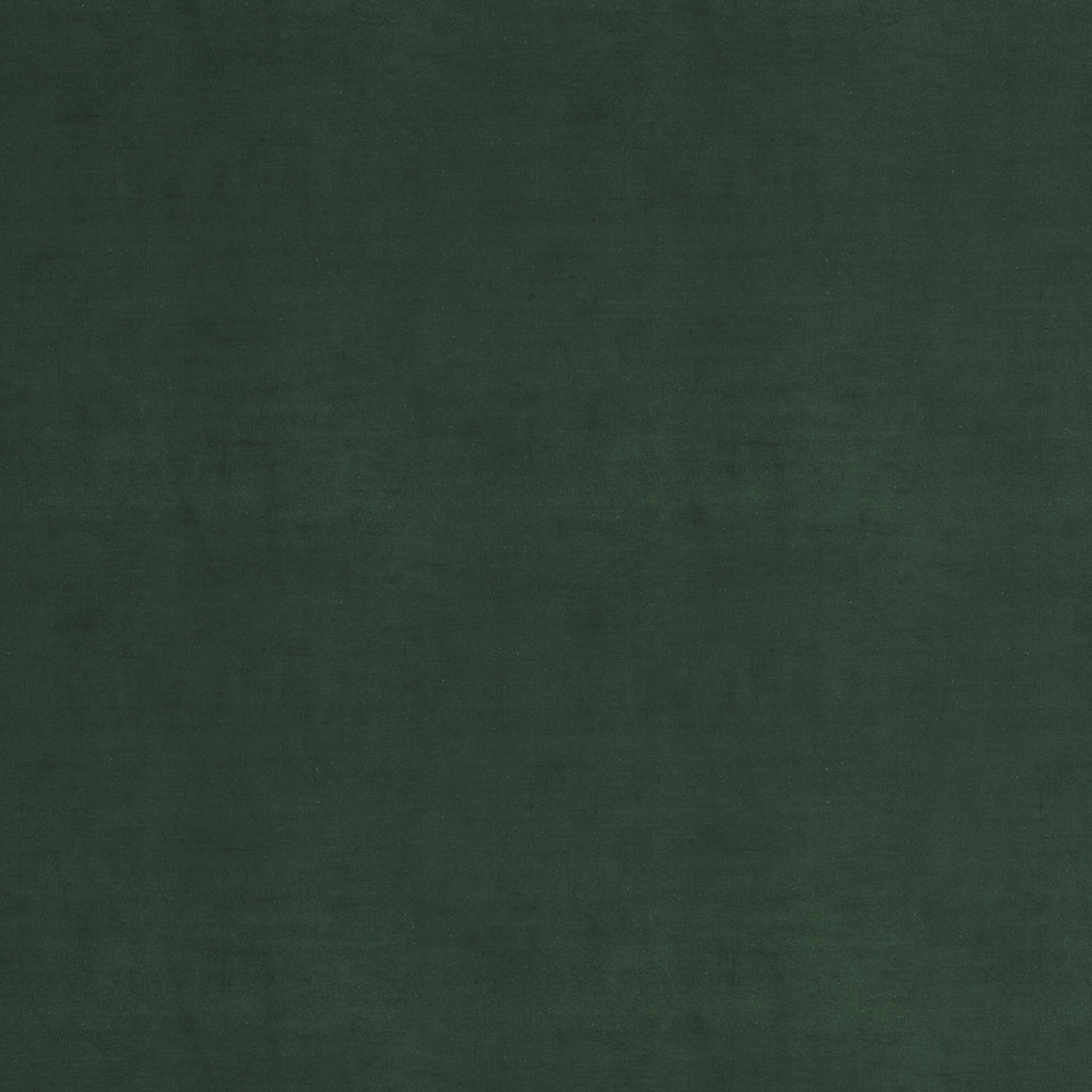 Elf Velvet Fabric