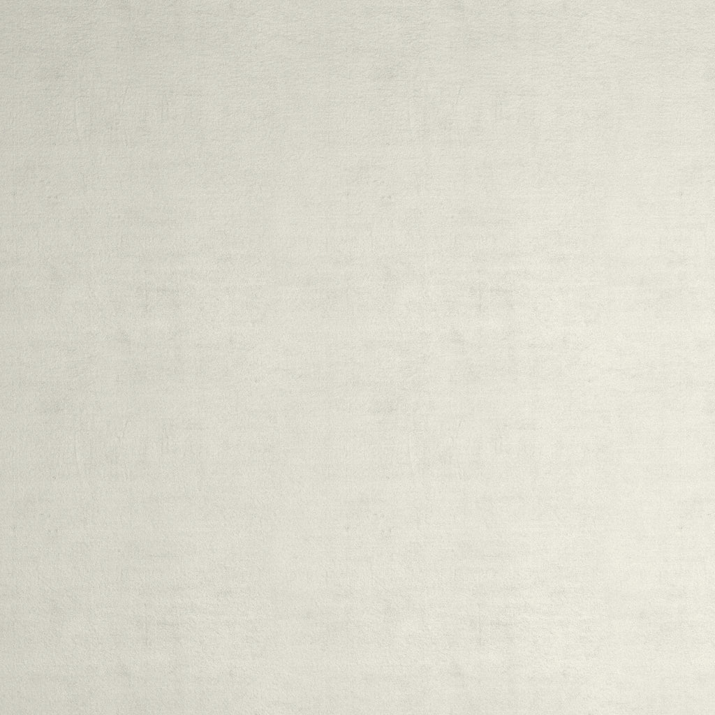 Snow Velvet Fabric