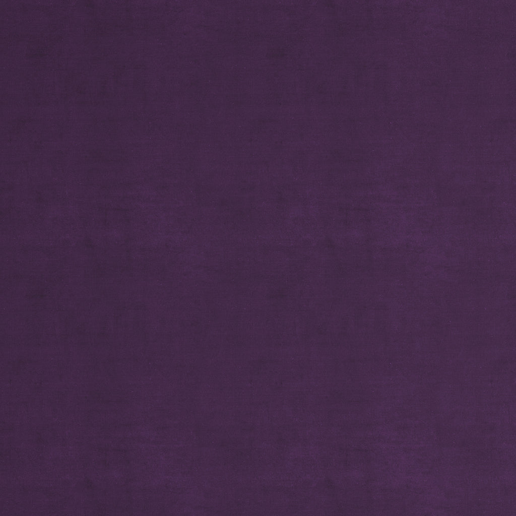 Velvet Fabric by the Yard in Sweet Berry