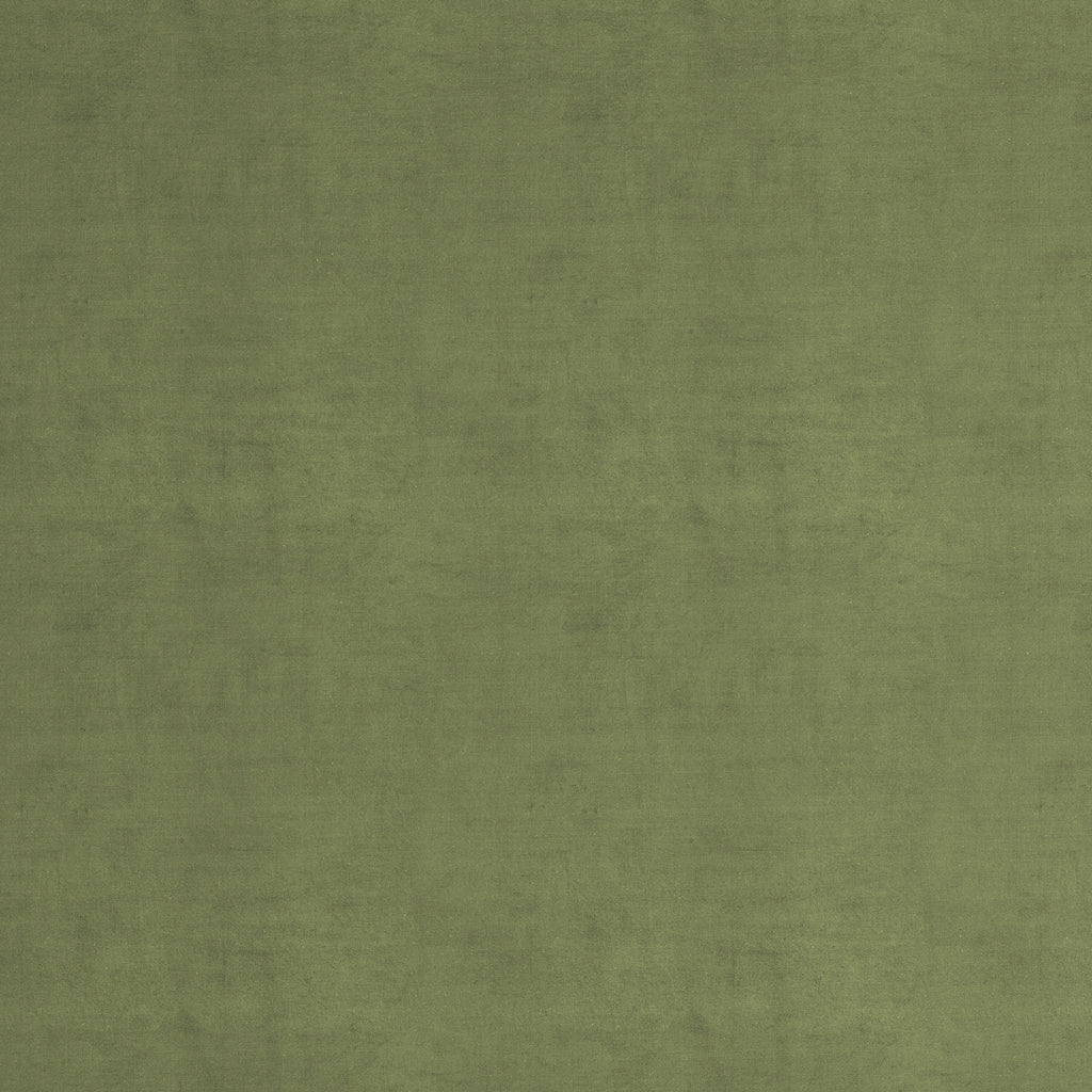 Vineyard Velvet Fabric