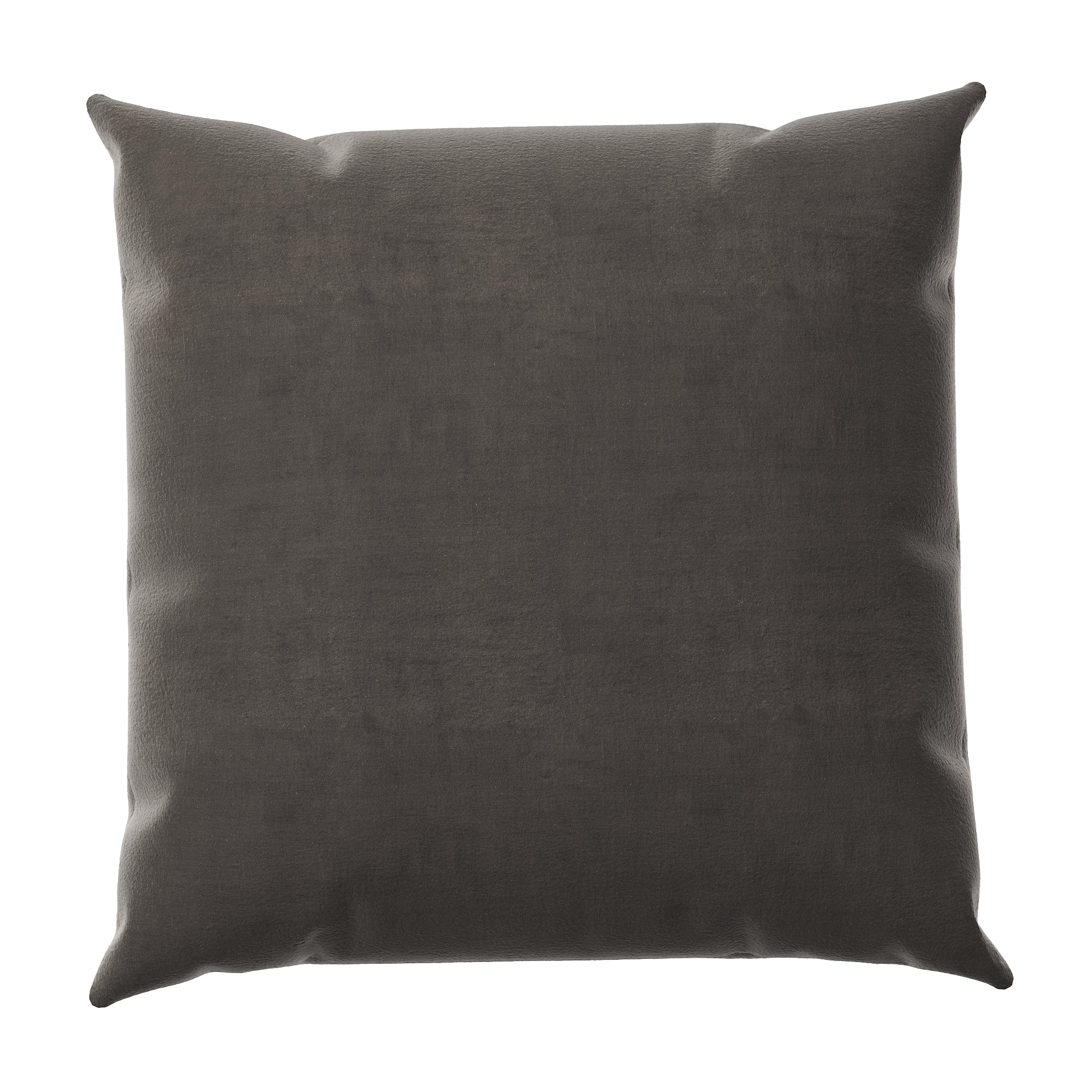Anchovy Velvet Throw Pillow