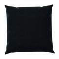 Black Velvet Throw Pillow