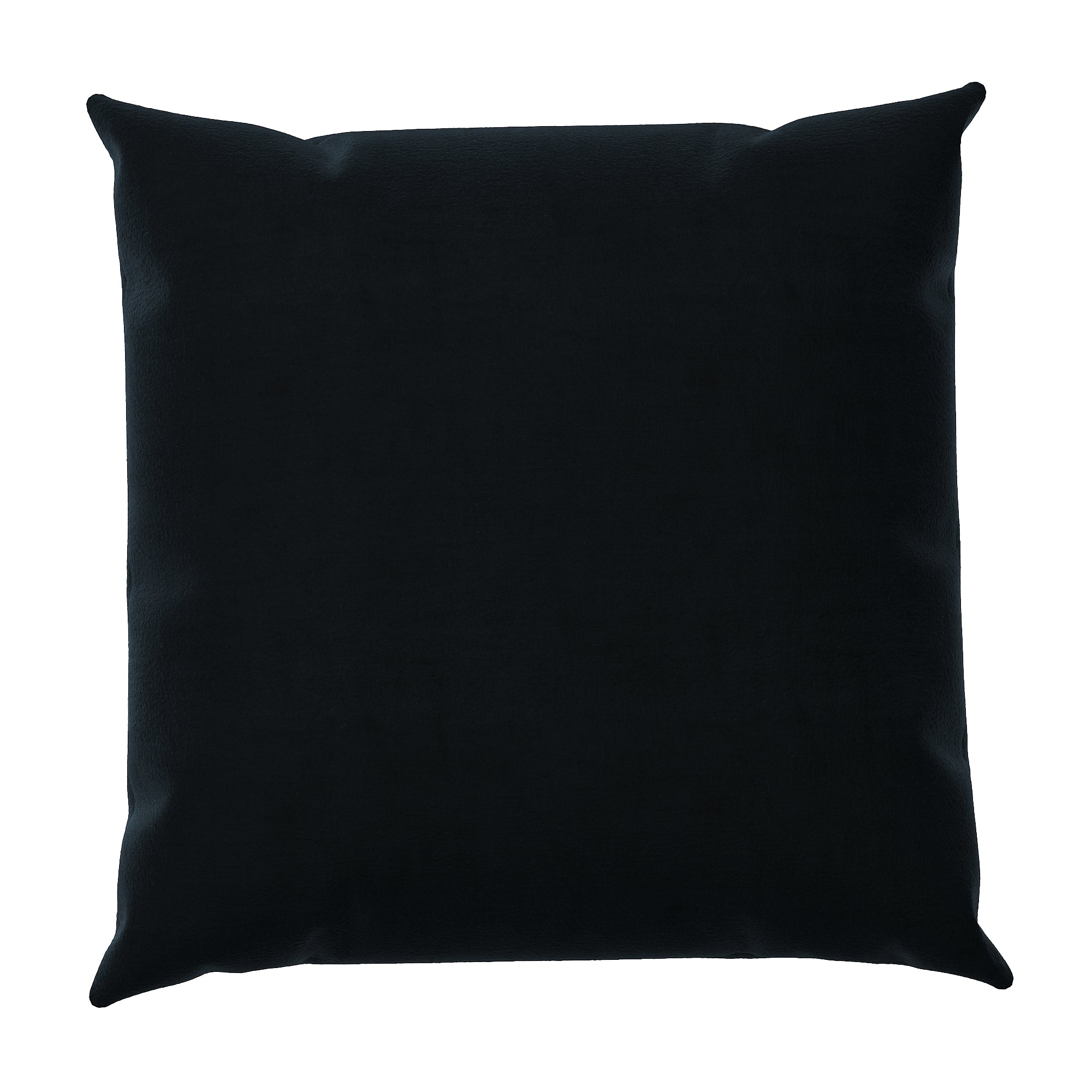 Black Velvet Throw Pillow