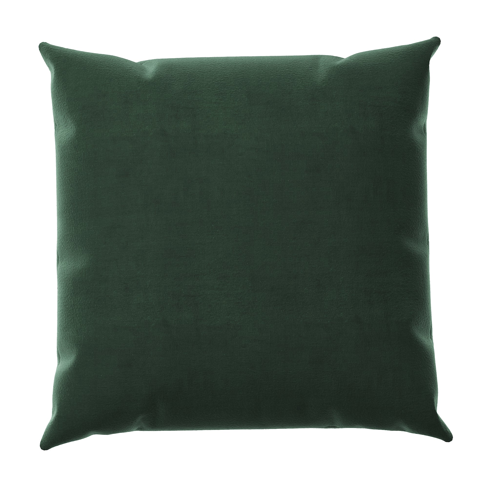Velvet Throw Pillow