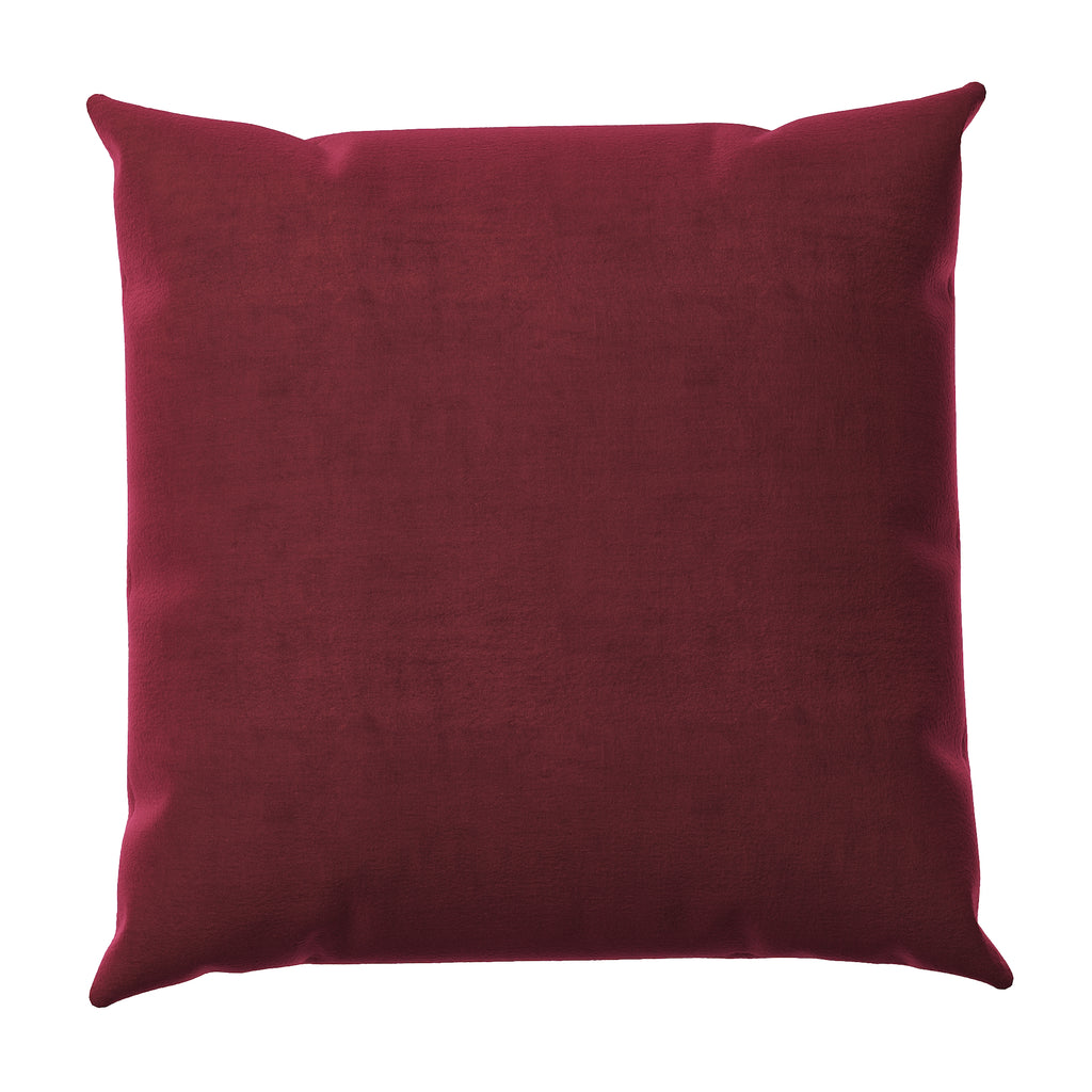 Velvet Throw Pillow