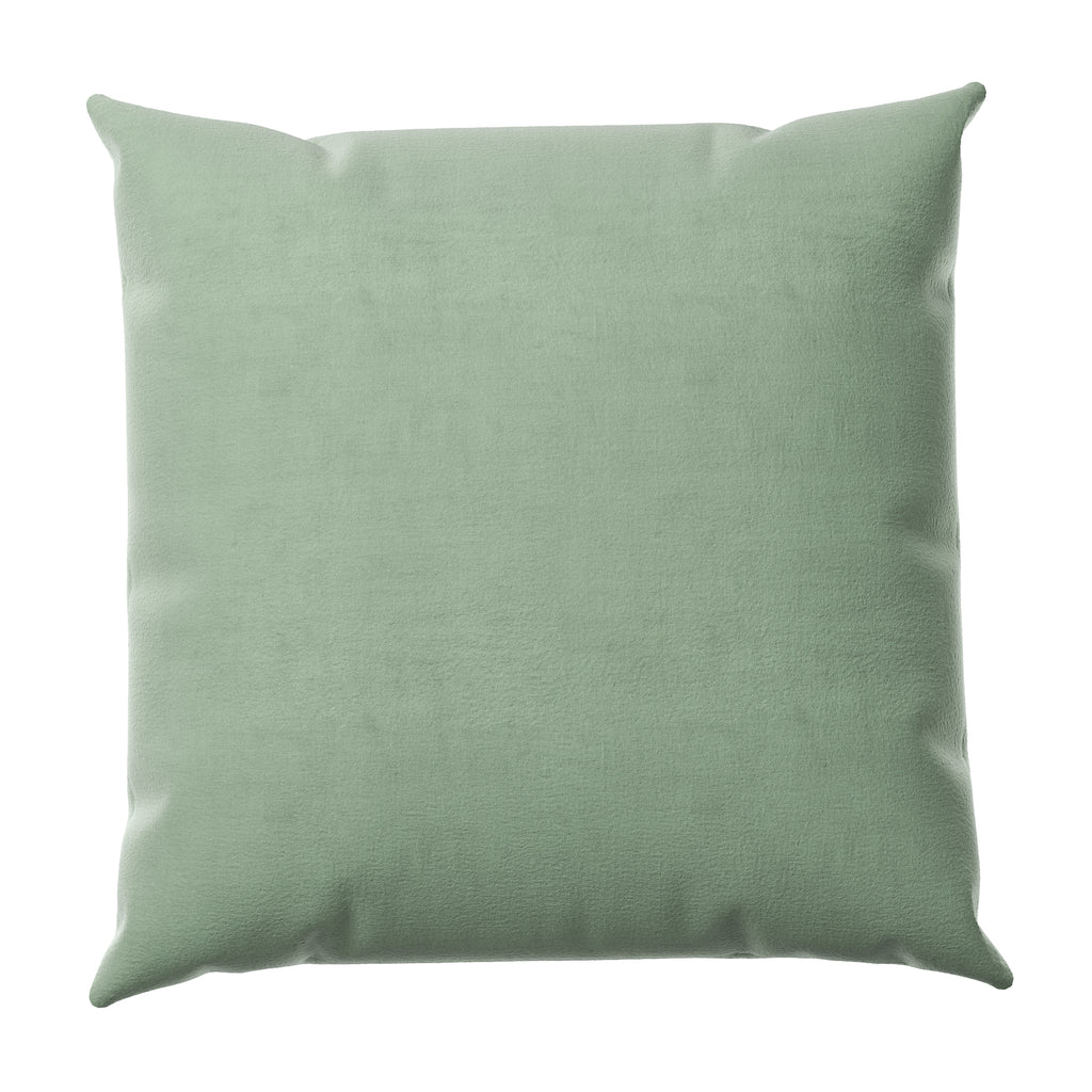 Velvet Throw Pillow in Eucalyptus