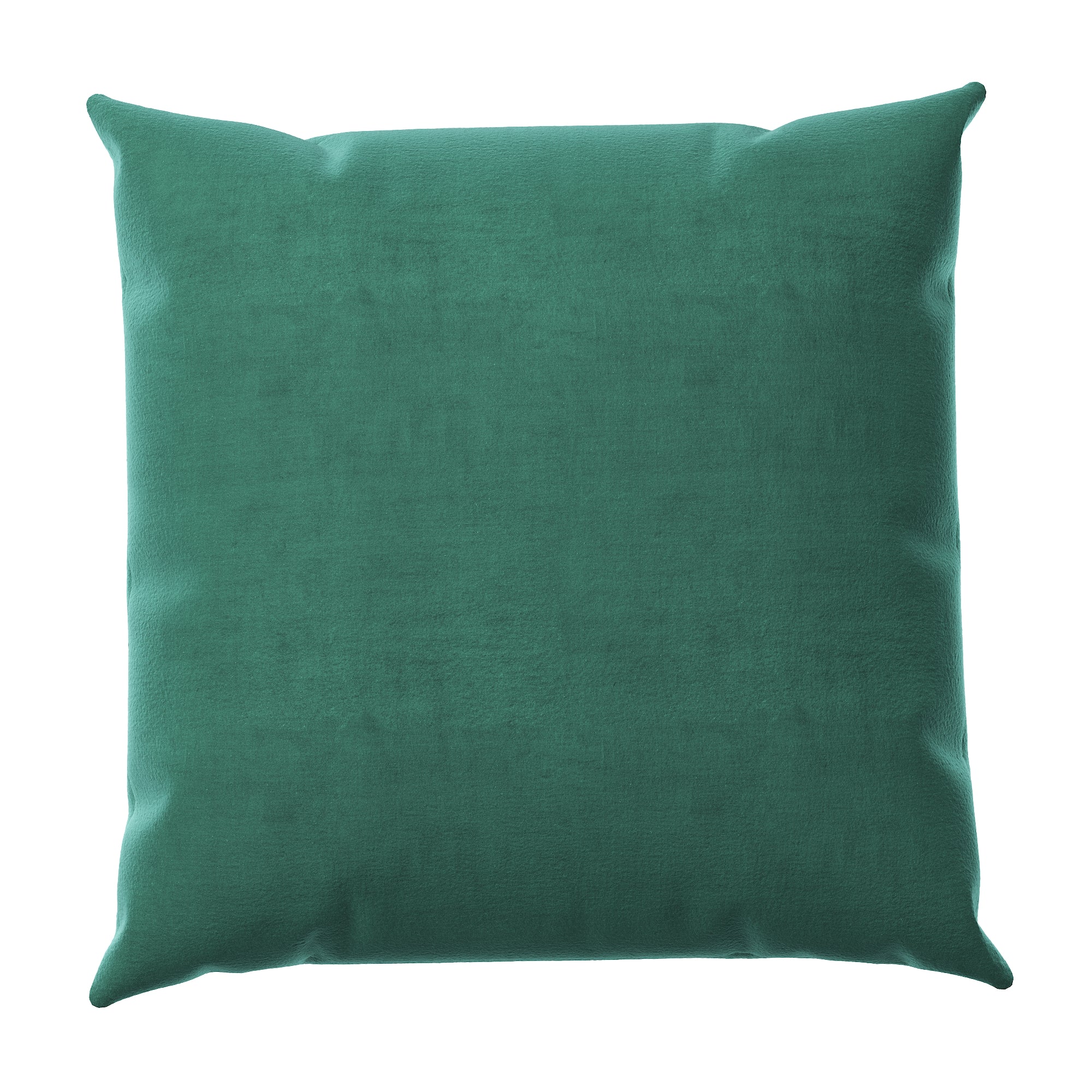 Velvet Throw Pillow