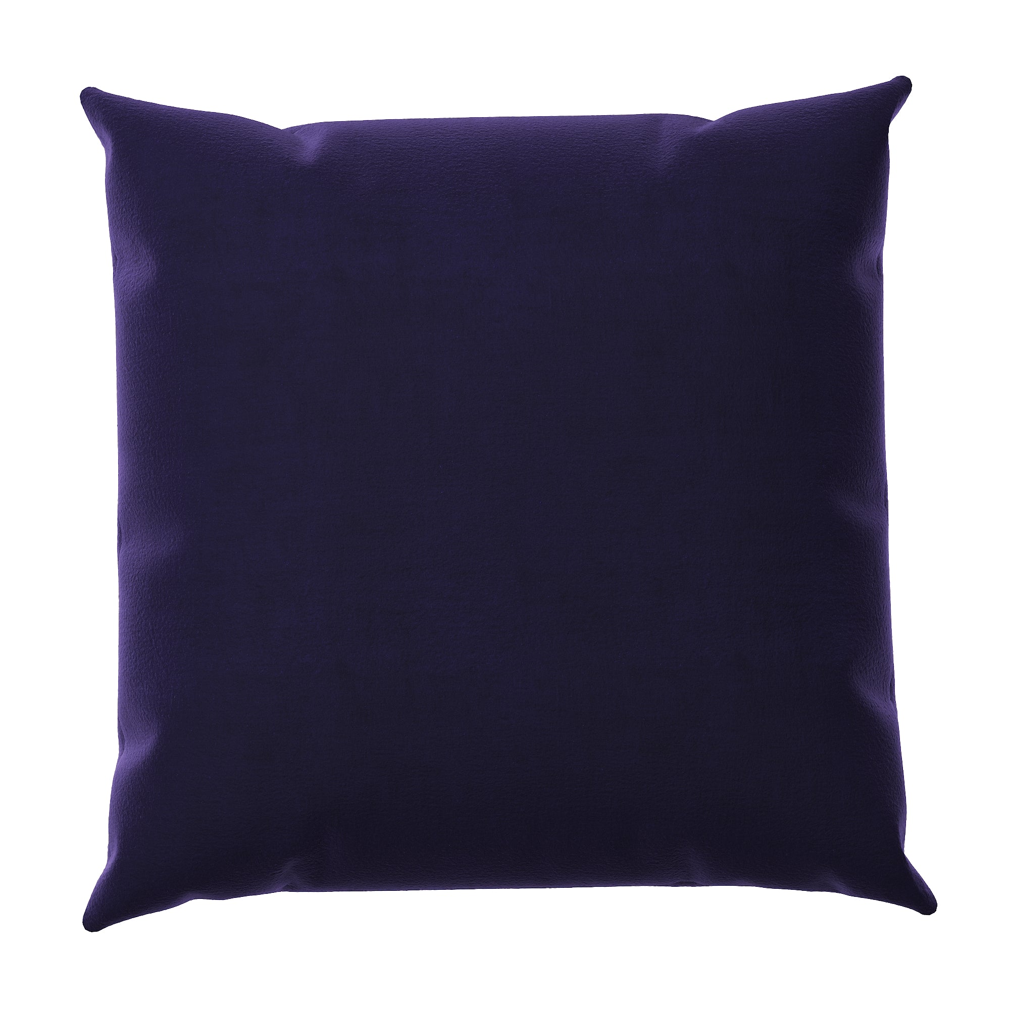 Velvet Throw Pillow