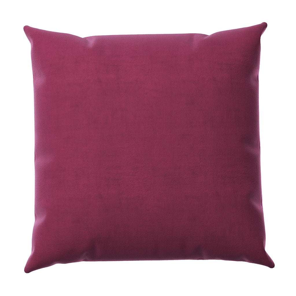 Tremiere Velvet Throw Pillow