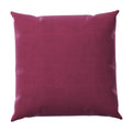 Tremiere Velvet Throw Pillow