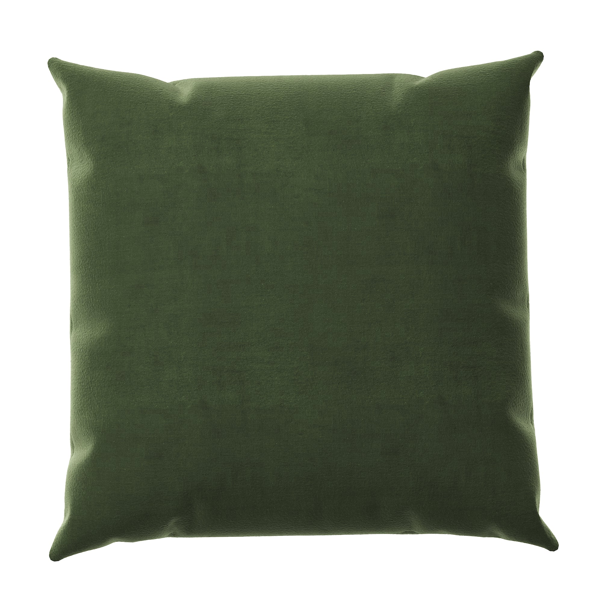 Velvet Throw Pillow