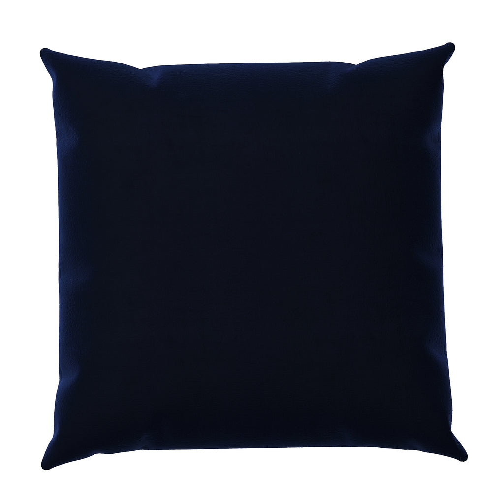 Velvet Throw Pillow
