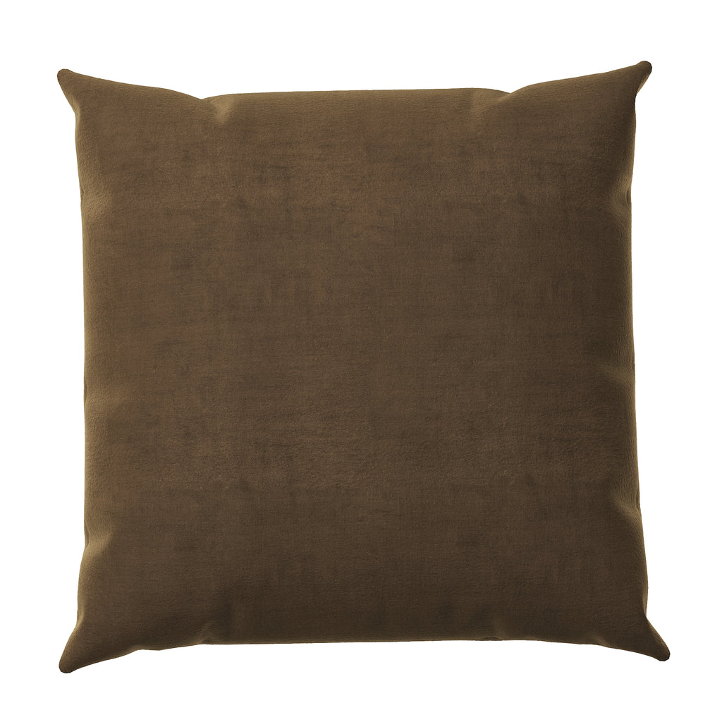 Velvet Throw Pillow