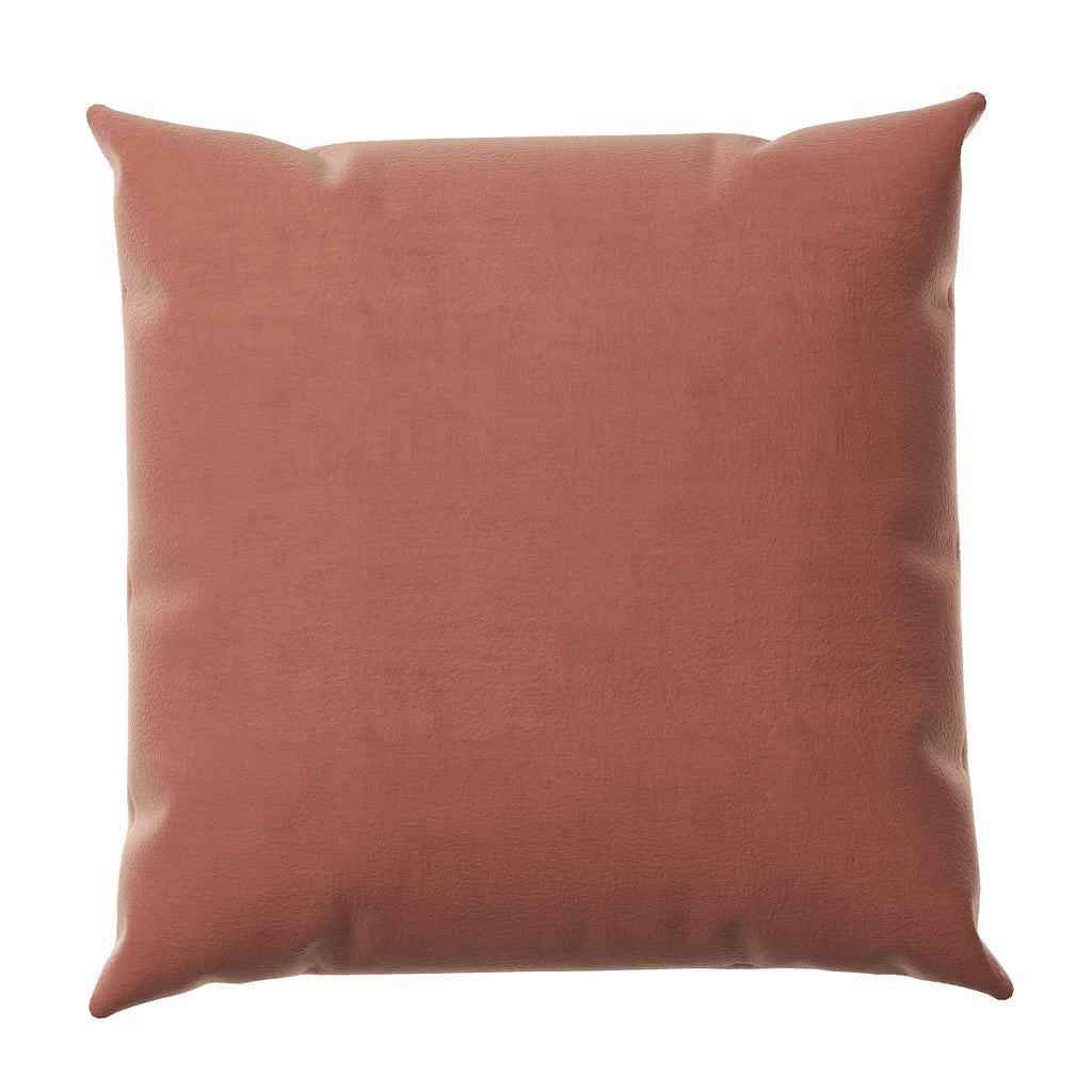 Velvet Throw Pillow