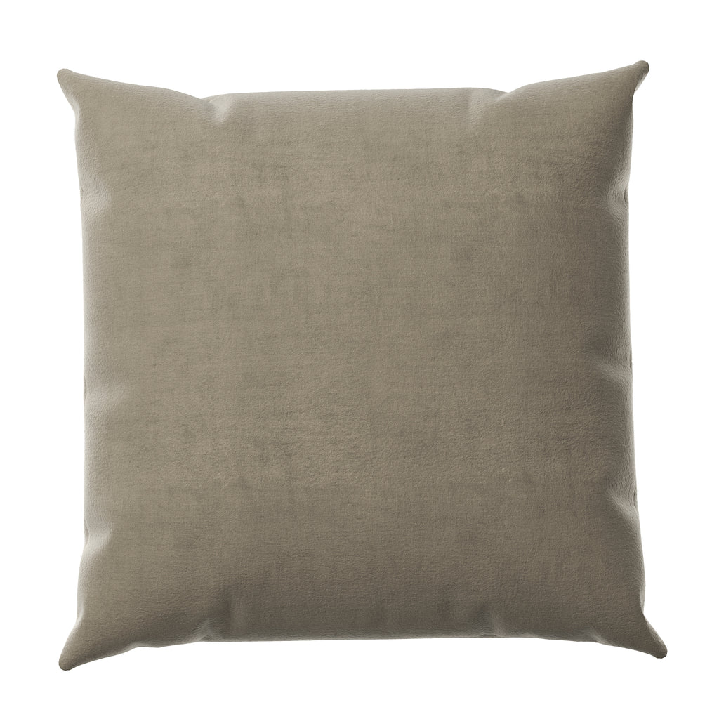 Velvet Throw Pillow