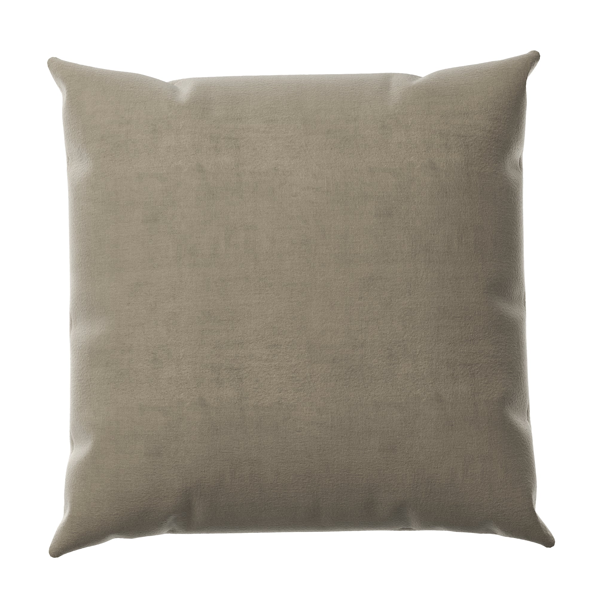 Velvet Throw Pillow