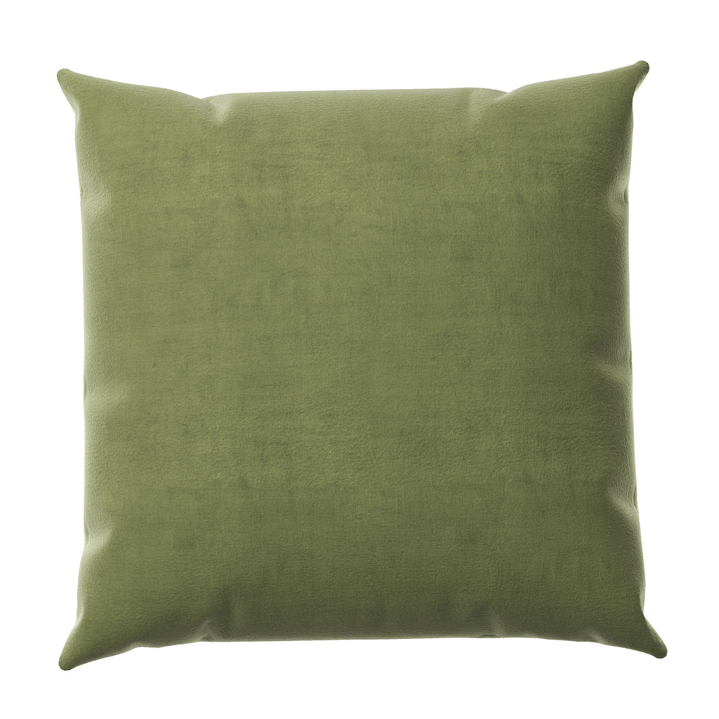 Velvet Throw Pillow